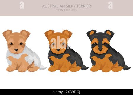 Australischer Silky Terrier alle Farben Hündchen Clipart. Verschiedene Fellfarben und Posen gesetzt. Vektorabbildung Stock Vektor