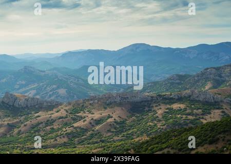Wunderschöne Berge mit Wald und Nebel, Skyline und Wolken am Sommertag Stockfoto
