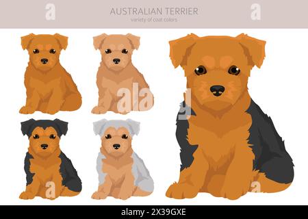 Australischer Terrier-Welpe in allen Farben Clipart. Verschiedene Fellfarben und Posen gesetzt. Vektorabbildung Stock Vektor