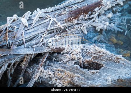 Nahaufnahme eiskalter Äste mit einer dicken Frostschicht, die über ihnen liegt, vor einem Hintergrund von klarem, blauem, ruhigem Wasser. Das Bild erinnert an eine ruhige, kühle Winteratmosphäre. Stockfoto