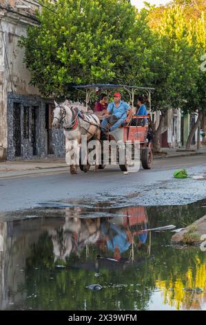 Pferde und Karren bieten einen lokalen Taxidienst durch die Straßen von Cienfuegos, Kuba, an einer Straßenecke reflektieren sich in einer großen Pfütze. Stockfoto