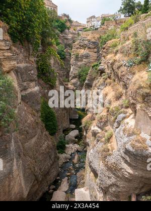 El Tajo Schlucht mit weißen Häusern oben in Ronda, Spanien Stockfoto