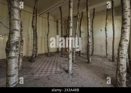 Baumstämme in einem verlassenen Zimmer. Stockfoto