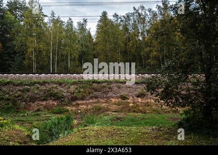 Blick auf die Bahnstrecke auf einem hohen Damm im Wald an einem bewölkten Sommertag. Stockfoto