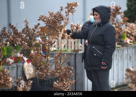 Belgrad während der Neujahrsfeiertage: Straßenverkäufer des Badnjak-Baumzweigs. Serbien. Stockfoto