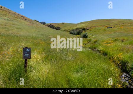 Coyote Ride Open Space Stockfoto