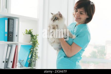 Tierarzt Hält Katze In Der Klinik In Händen. Flauschiges Reinrassiges Felines Haustier Mit Tierarzt Stockfoto