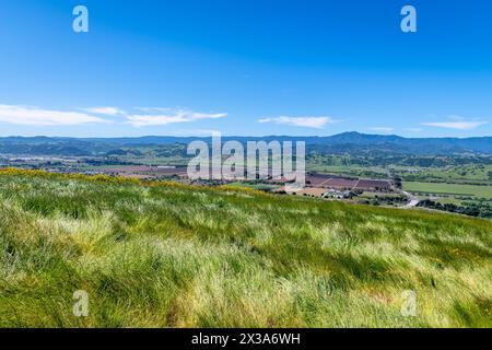 Coyote Ride Open Space Stockfoto