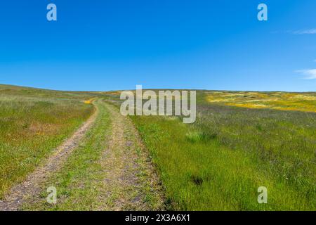 Coyote Ride Open Space Stockfoto