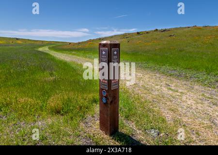 Coyote Ride Open Space Stockfoto