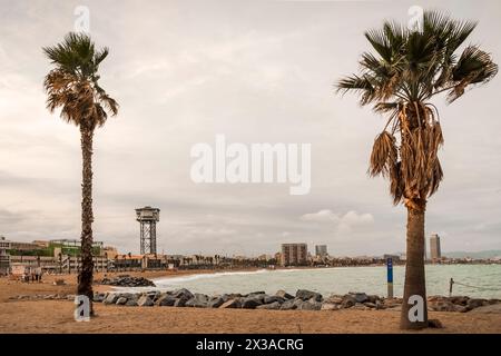 Der wunderschöne Strand von barceloneta überblickt die Stadt barcelona. Nahaufnahme von Palmen Stockfoto