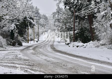 Draußen nach Schneesturm, Winterwunderland, Ruhe nach Schneefall Stockfoto