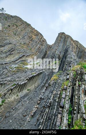 Steil gekippte Schichten von Flysch, Flysch Cliffs, Baskische Küste UNESCO Global Geopark, European Geopark Network, Zumaia, Guipúzcoa, Baskenland, Spanien Stockfoto