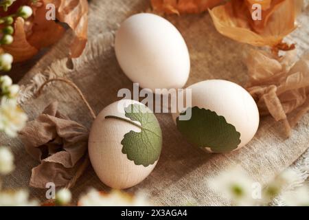 Rohe Ostereier mit Kräutern, die mit einem Tuch daran befestigt sind - Vorbereitung zum Färben mit Zwiebelschalen Stockfoto