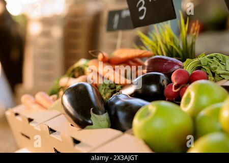 Frisch geerntete Karotten, Auberginen, Äpfel und Rettich werden auf dem Marktstand der Bauern ausgestellt. Nahaufnahme von lokal angebautem Bio-Gemüse in Kartonschachteln an einem Stand mit umweltfreundlichen landwirtschaftlichen Erzeugnissen. Stockfoto