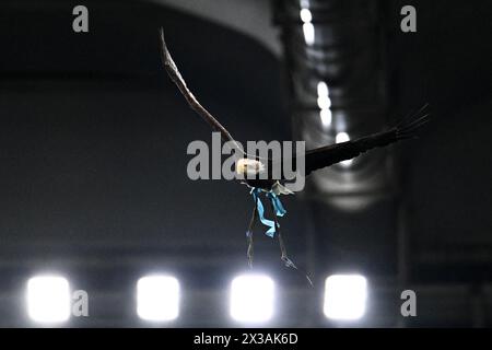 Der Maskottchenadler Olimpia der SS Lazio fliegt über das Stadio Olimpico vor dem Coppa Italia Halbfinalspiel zwischen SS Lazio und Juventus FC bei S Stockfoto