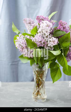 Großer Fliederstrauß in Kristallvase im Inneren der Wohnung. Wunderschöne Flieder Frühlingsblumen. Romantisches Geschenk ist ein Blumenstrauß aus duftendem Flieder. Auswahl Stockfoto