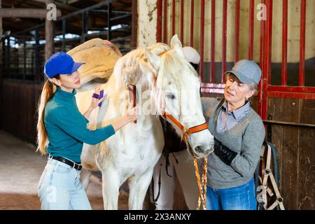 Arbeiterinnen bürsten nach dem Reiten im Stall weißes Rennpferd Stockfoto