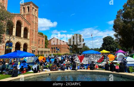 Los Angeles, USA. April 2024. Ein Lager, das gegen den Krieg in Gaza protestierte, wurde auf dem Royce Quad auf dem Campus der UCLA, der University of CA, gegründet Stockfoto