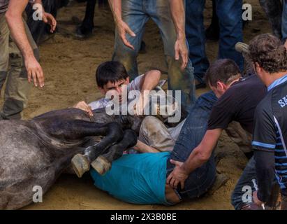 Rapa das Bestas de Sabucedo Stockfoto