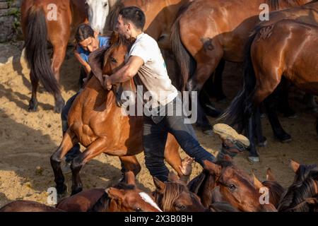 Rapa das Bestas de Sabucedo Stockfoto