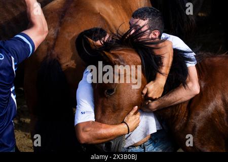 Rapa das Bestas de Sabucedo Stockfoto