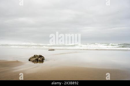 Kleine Pools umgeben die Low Leying Rocks am Cannon Beach bei Low Tide am nebeligen Sommermorgen Stockfoto