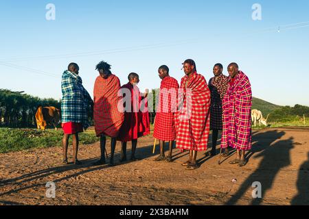 Februar 2024. Masai Mara Nationalpark. Kenia: Eine Gruppe nicht identifizierter afrikanischer Männer aus dem Masai-Stamm zeigen einen traditionellen Springtanz in einem lokalen Dorf Stockfoto