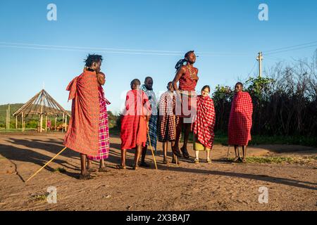 Februar 2024. Masai Mara Nationalpark. Kenia: Eine Gruppe nicht identifizierter afrikanischer Männer aus dem Masai-Stamm zeigen einen traditionellen Springtanz in einem lokalen Dorf Stockfoto