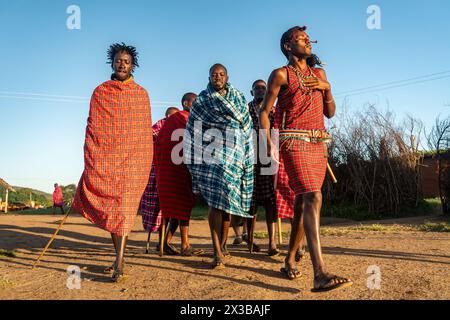 Februar 2024. Masai Mara Nationalpark. Kenia: Eine Gruppe nicht identifizierter afrikanischer Männer aus dem Masai-Stamm zeigen einen traditionellen Springtanz in einem lokalen Dorf Stockfoto