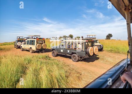 Februar 2024. Masai Mara Nationalpark, Kenia. Touristen in einer Safari im Geländewagen mit offenem Dach, die Fotos von wilden Tieren machen. Nationalpark in Stockfoto