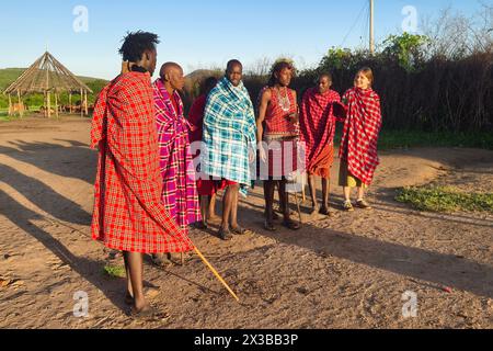 Februar 2024. Masai Mara Nationalpark. Kenia: Eine Gruppe nicht identifizierter afrikanischer Männer aus dem Masai-Stamm zeigen einen traditionellen Springtanz in einem lokalen Dorf Stockfoto