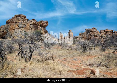 Landschaft mit Kopje oder felsigem Ausläufer, Mashatu Game Reserve, Botswana Stockfoto