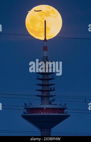 Der Vollmond vergeht hinter dem Gipfel des Europaturms in Frankfurt am Main, Frankfurt am Main, Hessen, Deutschland Stockfoto