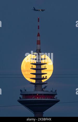 Der Vollmond vergeht hinter dem Gipfel des Europaturms in Frankfurt am Main, Frankfurt am Main, Hessen, Deutschland Stockfoto