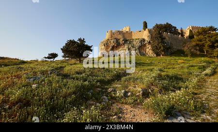 Morgenlicht, Johannisburg, Aufstieg zur Akropolis, Lindos, grüne Wiesen, Rhodos, Dodekanese, Griechische Inseln, Griechenland Stockfoto