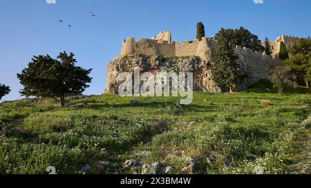 Morgenlicht, Johannisburg, Aufstieg zur Akropolis, grüne Wiesen, Lindos, Rhodos, Dodekanes, Griechische Inseln, Griechenland Stockfoto