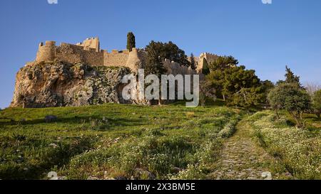 Morgenlicht, Johannisburg, Aufstieg zur Akropolis, Lindos, grüne Wiesen, Rhodos, Dodekanese, Griechische Inseln, Griechenland Stockfoto