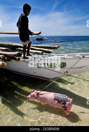 Ein rosa Schwein, gefesselt an ein banca-Boot am Strand auf Malapascua Island, den Philippinen. Stockfoto