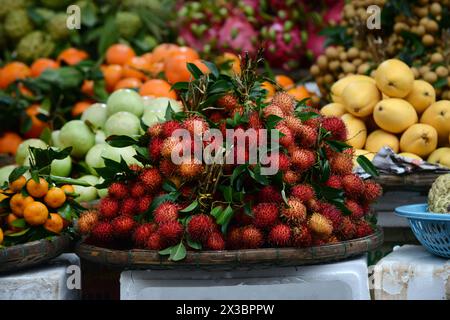 Ein Obstverkäufer auf dem zentralen Markt in Hoi an, Vietnam. Stockfoto