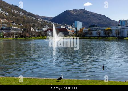 Lake Lille Lungegardsvannet, Bergen, Norwegen, Südwestküste, Skandinavien, Nordeuropa Stockfoto