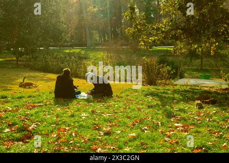 Teheran, Iran – 19. Dezember 2022: Motorradfahrer essen einen Snack im Park, umgeben von streunenden Katzen Stockfoto