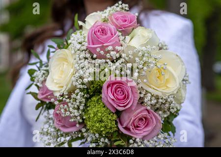 Festliche Eleganz: Brautstrauß in Rosa und weiß , Deutschland, 24.04.2024, in diesem Bild sehen wir einen wunderschön arrangierten Blumenstrauß, der in den Händen einer Person gehalten wird. Er besteht aus rosa und weißen Rosen, kleine weiße Blüten und grüne Akzenten. *** Festliche Eleganz Brautstrauß in rosa und weiß , Deutschland, 24 04 2024, auf diesem Bild sehen wir einen wunderschön gestalteten Blumenstrauß in den Händen einer Person gehalten es besteht aus rosa und weißen Rosen, kleinen weißen Blumen und grünen Akzenten Stockfoto