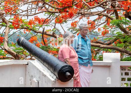 Cochi, Indien - 22. März 2024: Die Menschen besuchen das Fort Kochi mit alten Kanonen und blühenden Bäumen in Rot und Grün. Stockfoto