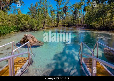 „Kristallklares Wunder: Williford Springs zeigt sein faszinierend klares Wasser und lädt alle ein, seine natürliche Schönheit und Reinheit zu bewundern.“ Stockfoto