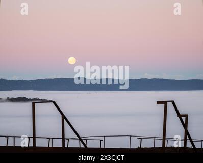 Vollmond am Westhimmel über dem Nebelmeer. Vom Gipfel des Mount Eden aus gesehen. Auckland. Stockfoto