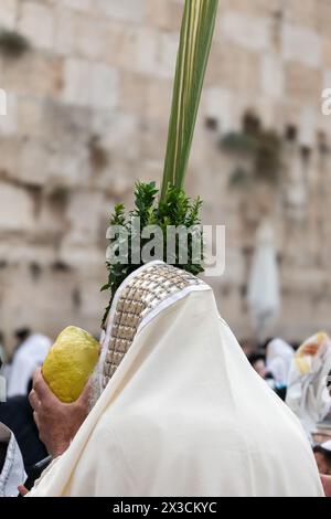 Ein orthodoxer jüdischer Mann, der einen weißen Tallit oder Gebetschal trägt, hält einen Lulav und einen großen, jemenitischen Etrog oder eine Zitrone während der Gebetsgottesdienste auf dem Festival Stockfoto