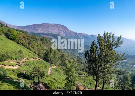 Malerischer Blick auf den Mount Anamudi im Hochland des Anamudi Shola Nationalparks, Kerala, Indien Stockfoto