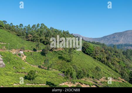 Malerischer Blick auf den Mount Anamudi im Hochland des Anamudi Shola Nationalparks, Kerala, Indien Stockfoto