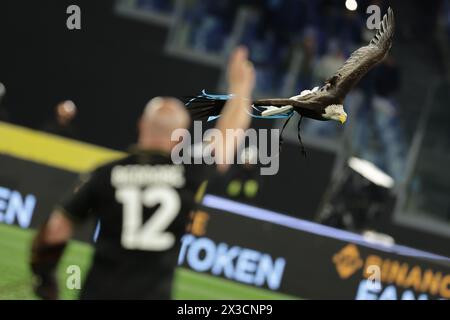 Lazios Maskottchen, der Adler Olimpia, fliegt über das Stadion vor dem Halbfinalspiel SS Lazio gegen Juventus im Olimpico-Stadion am 23. April 2024 in Rom. Stockfoto